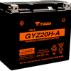 Yuasa GYZ20HA High Performance Maintenance Free AGM 12 Volt Battery