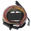 Haltech Elite 750 Premium Universal Wire-In Harness - 2.5m (8ft)