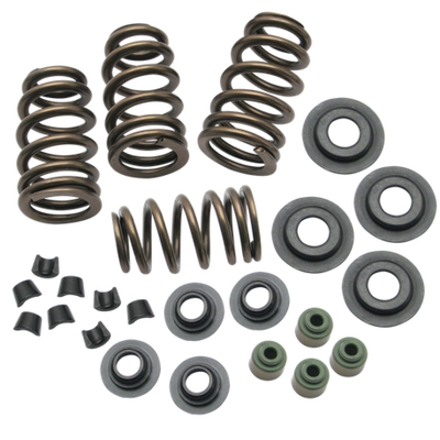 S&S Cycle 04-19 XL Valve Spring Kit - .650in