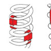 SPC Performance COIL SPRG STABILIZER (4)