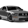 Raxiom 05-09 Ford Mustang Halogen 2010 Style LED Halo Headlights-Blk Hsng(Clear Lens/Excludes GT500)