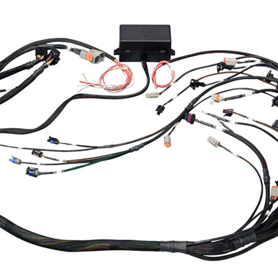 Haltech GM GEN IV (LS2/LS3 Non DBW) Elite 2000/2500 Terminated Harness w/EV1 Inj Connectors