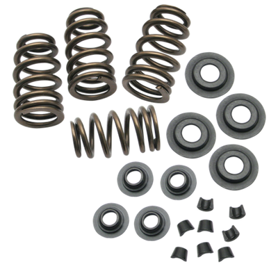 S&S Cycle 84-04 BT/86-03 Sportster Models .650in Lift Sidewinder Valve Spring Kit