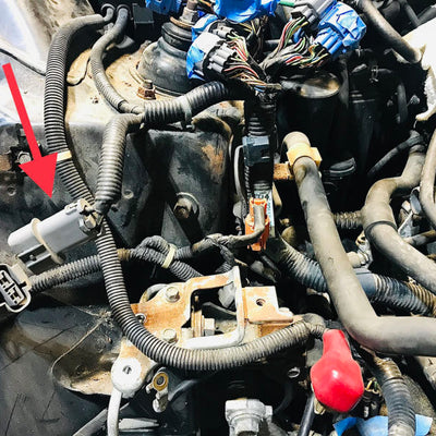 Rywire 92-95 Honda Prelude AEM Infinity Chassis Adapter (Must Send Rywire 2-Pin Core Connector)