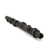 Skunk2 Tuner Series D-Series Honda Stage 4 Camshaft