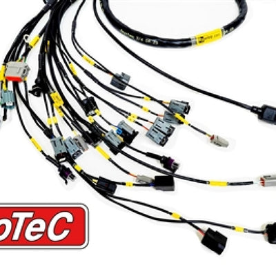 Rywire Honda K-Series (w/Motec M130 ECU) Eng Harness w/OBD2 Alt/EV14 Inj/AEM IAT & MAP (Adapter Req)
