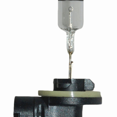 Hella Bulb 896 12V 37.5W PGJ13 T3.25