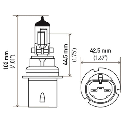 Hella Bulb 9004 12V 65/45W P29T T4625 +50