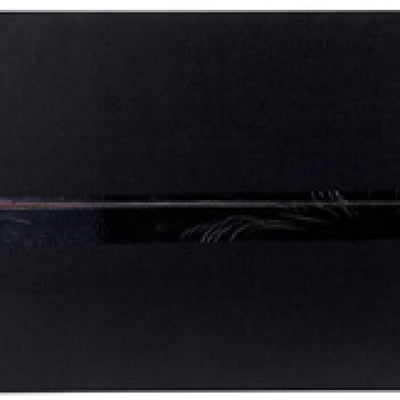 AEM Cold Air Intake System C.A.S. HONDA S2000 2.0L L4 00-03