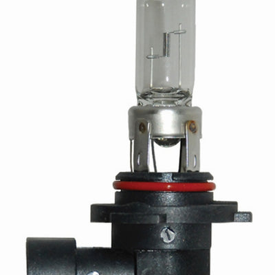 Hella Bulb 9005/HB3 12V 65W P20d T4