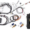 Haltech Elite 2500 Terminated Engine Harness ECU Kit w/ Early Ignition