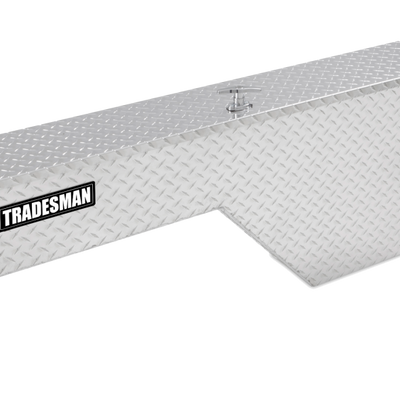 Tradesman Aluminum Fender Well Truck Tool Box (60in.) - Brite