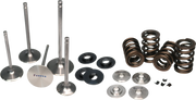 Ferrea Acura/Honda B18/B16 High Pressure Dual Spring Kit