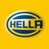 Hella Socket 2Pole 4123 Flsh Mnt