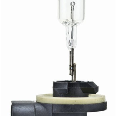 Hella Bulb 894 12V 375W Pgj13 T325