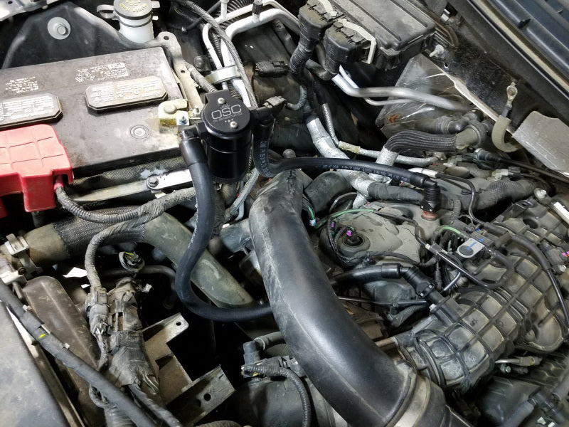 J&L 2011-2025 Ford F-150 2.7L/3.5L/5.0L Passenger Side Oil Separator 3.0 - Black Anodized