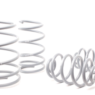 H&R 92-98 BMW 325i/325is/328i/328is E36 OE Sport Spring (After 6/22/92 & Non Cabrio)