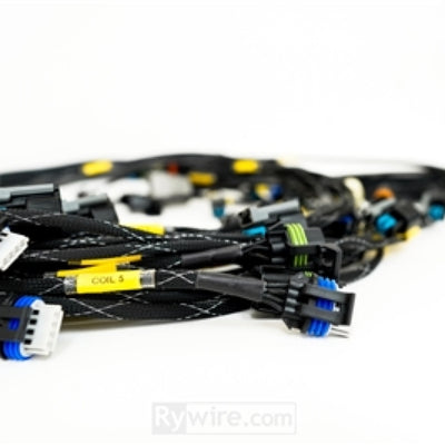 Rywire GM LS3 V8 E38 ECU Engine Harness w/Bosch MAP Option (Req PDM/Fuse Box/Mating Connector)