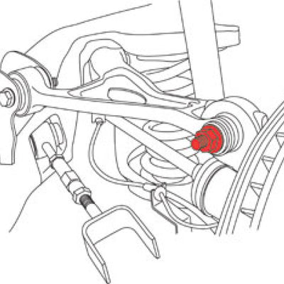 SPC Performance Ford 10+ Taurus / 01+ Explorer Rear Camber Kit