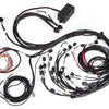 Haltech Ford Falcon BA/BF Barra 4.0 Elite 2500 Terminated Harness w/EV1 Injector Connectors