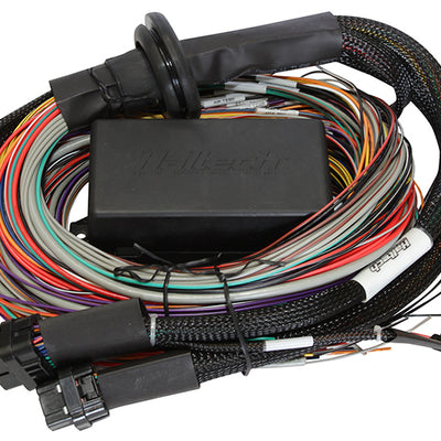 Haltech Elite 1500 Premium Universal Wire-In Harness - 2.5m (8ft)