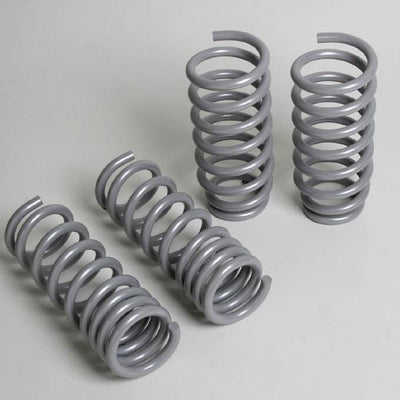 Progress Tech 04-10 Dodge Chrysler 300C/2009+ Dodge Challenger V8 Sport Springs