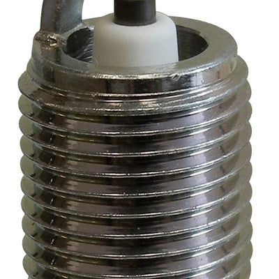 NGK Standard Spark Plug Box of 4 (TR5C-12)