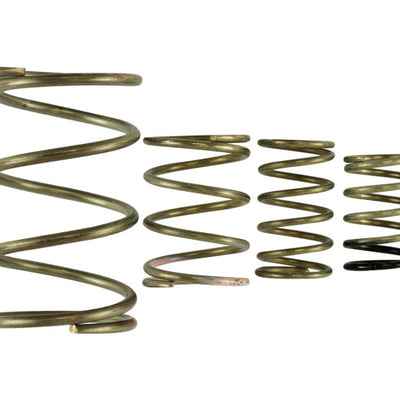 Turbosmart Gen V WG38/40 Spring Replacement Kit