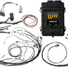 Haltech Elite 1500 Terminated Harness ECU Kit w/ Square EV1 Injector Connectors