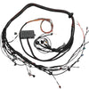 Haltech Elite 2000/2500 Terminated Engine Harness