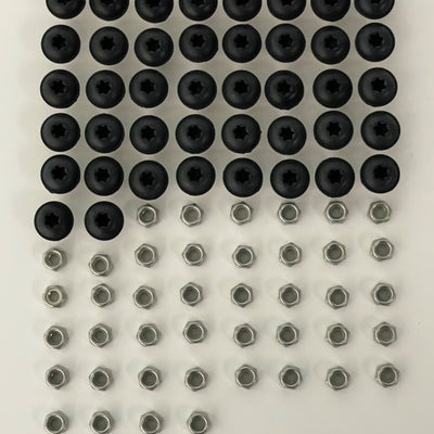 EGR Black Stainless Steel Powdercoated Bolt Kit