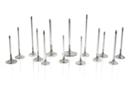 Ferrea Ford 5.0L DOHC 32 Valve 1.525in .2355in 4.750in T-Flo Comp Plus Intake Valve- Set of 16