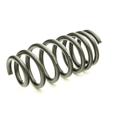 Eibach Pro-Kit for 11-12 Dodge Charger 2WD V6 / 2WD V8 (Will Not Effect Vehicle Height On Scat Pack)