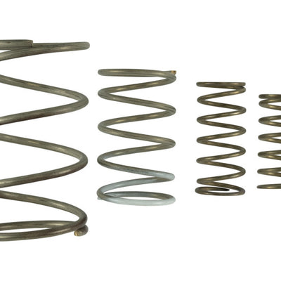 Turbosmart Gen V WG60 Spring Replacement Kit