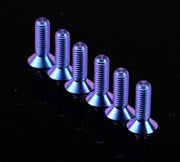 NRG Titanium Steering Wheel Screw Upgrade Kit (Conical) - Purple
