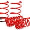 Skunk2 01-05 Honda Civic Lowering Springs (2.25in - 2.00in.) (Set of 4)