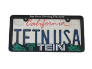 Tein License Plate Frame