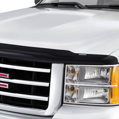 Stampede 2005-2008 Buick Terraza Vigilante Premium Hood Protector - Smoke