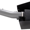 AEM Nissan Frontier/Pathfinder/Xterra 4.0L Silver Brute Force Air Intake