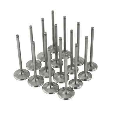 Skunk2 Ultra Series Honda/Acura Stock Size B Series VTEC Valve Set (Standard Compression)