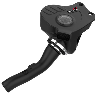 aFe Momentum GT Pro DRY S Cold Air Intake System 12-16 BMW Z4 28i/xi (E89) I4 2.0L (t) N20