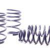 H&R 07-11 BMW 328i Sedan/335i Sedan E90 Race Spring