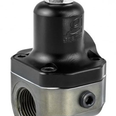 Grams Performance 100 Micron Replacement Filter Element