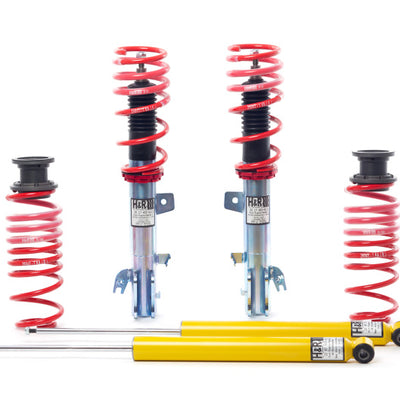 H&R 10-19 Ford Fiesta 1.6L/1.0L EcoBoost Street Perf. Coil Over