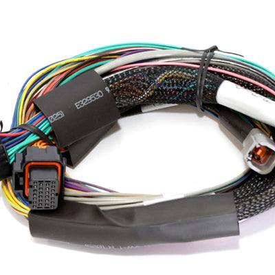 Haltech Elite 1500 Basic Universal Wire-In Harness w/o Relays or Fuses - 2.5m (8ft)