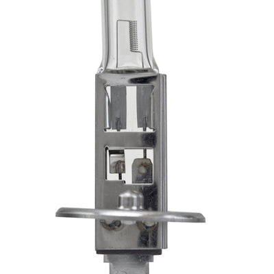 Hella Bulb H1 12V 55W P14.5s T2.5