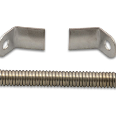 Vibrant Weld on Collector Tab Kit (includes 2 x S.S. collector tabs and 3-1/2in long spring)