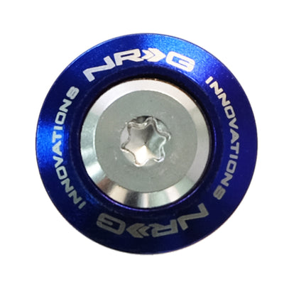 NRG Fender Washer Kit (TI Series) M6 Bolts/SS For Plastic (Silver Washer/TI Burn Screw) - Set of 10