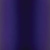 Wehrli 01-07 Chevrolet 6.6L LB7/LLY/LBZ Duramax OEM Placement Coolant Tank Kit - Grape Frost