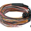Haltech PD16 Flying Lead Harness 5M
